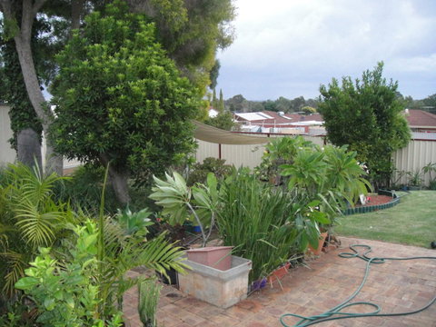 Armadale Cottage Bed & Breakfast - St Kilda Accommodation 39