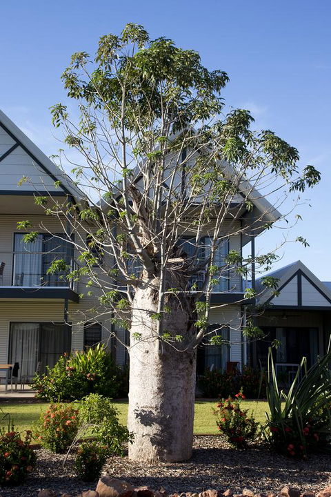 Freshwater East Kimberley Apartments - St Kilda Accommodation 18