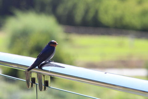 Bickley Valley Cottage - St Kilda Accommodation 9