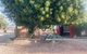 Shark Bay Cottages - thumb 35