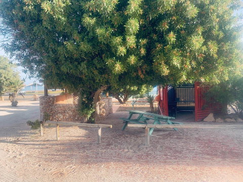 Shark Bay Cottages - St Kilda Accommodation 35