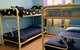 Shark Bay Cottages - thumb 7