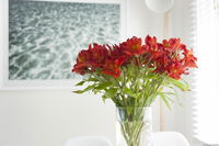 Book Kingston Beach Accommodation Vacations St Kilda Accommodation St Kilda Accommodation