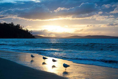 The Ultimate Beach House - St Kilda Accommodation 8