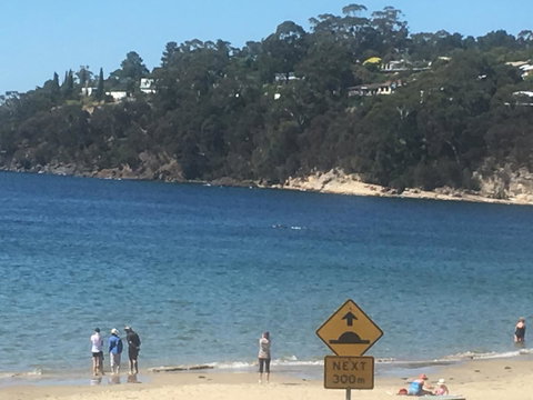 The Ultimate Beach House - St Kilda Accommodation 2