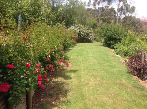 Sheer Pleasure Accommodation - St Kilda Accommodation 7
