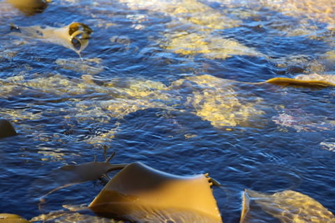 Blu-Sea 365 - St Kilda Accommodation 28