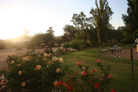 Newell Motor Inn Narrandera - St Kilda Accommodation 3