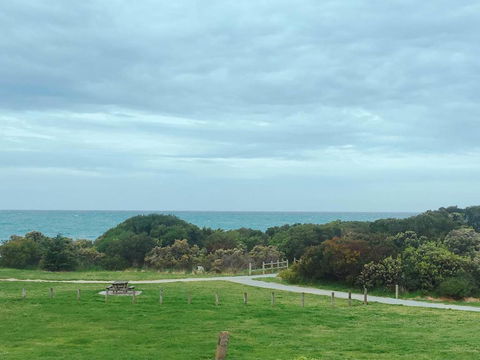 ODYSSEY APOLLO BAY - St Kilda Accommodation 2