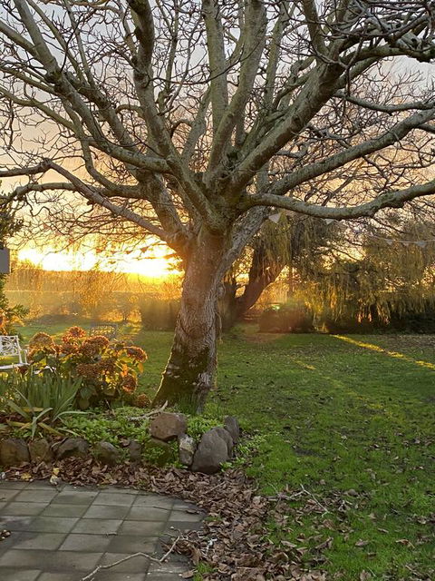 Peg Cottage - St Kilda Accommodation 0