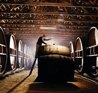 Pieter van Gent Winery  Vineyard