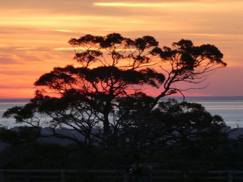 Red Hill Ridge - St Kilda Accommodation 1