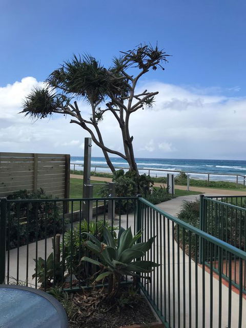 Sanctuary Beach Resort - St Kilda Accommodation 2