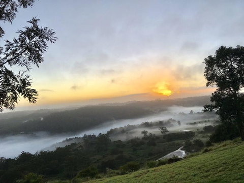Scandinavian Cabin - Maleny - One Bedroom - St Kilda Accommodation 2