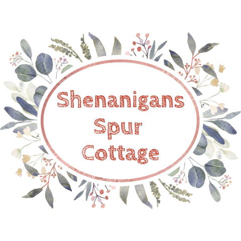 Shenanigans Spur Cottage - St Kilda Accommodation 3