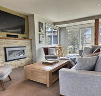 Ski Bird - St Kilda Accommodation