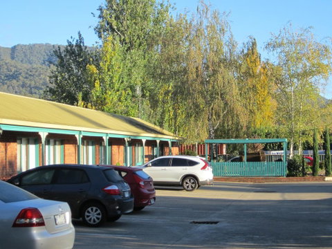Snowgum Motel - St Kilda Accommodation 0