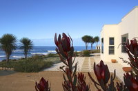 Book Falmouth Accommodation Vacations St Kilda Accommodation St Kilda Accommodation