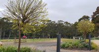 Book Lebrina Accommodation Vacations St Kilda Accommodation St Kilda Accommodation