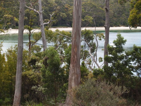 Stewarts Bay Lodge - St Kilda Accommodation 23