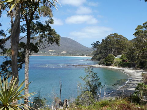Osprey Lodge & Bungalow - St Kilda Accommodation 4