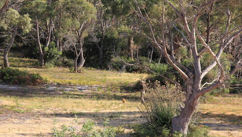 BAY OF FIRES SEACHANGE Ocean Frontage - St Kilda Accommodation 12