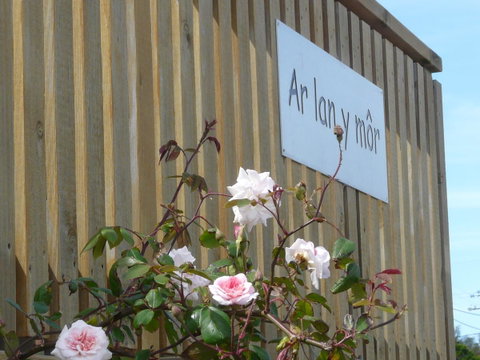 Ar Lan Y Mor - St Kilda Accommodation 12
