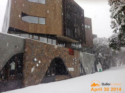 Buller Central Hotel - St Kilda Accommodation 11
