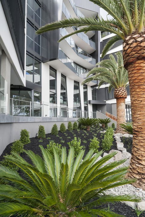 Caroline Serviced Apartments Sandringham - St Kilda Accommodation 3