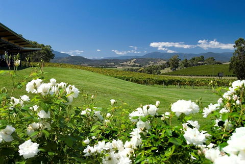 Balgownie Estate Yarra Valley - St Kilda Accommodation 36