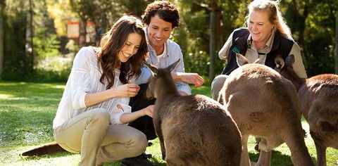 Balgownie Estate Yarra Valley - St Kilda Accommodation 10