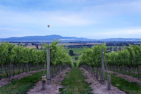 Balgownie Estate Yarra Valley - St Kilda Accommodation 37