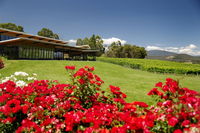 Book Yarra Glen Accommodation Vacations St Kilda Accommodation St Kilda Accommodation