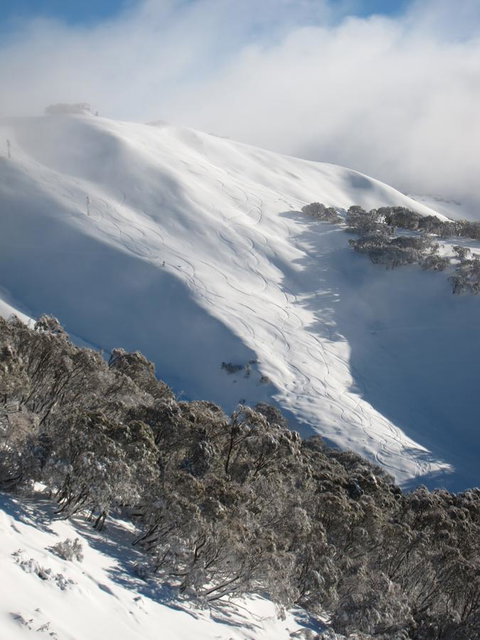 The Harrietville Snowline Hotel - St Kilda Accommodation 29
