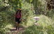 The Harrietville Snowline Hotel - thumb 11
