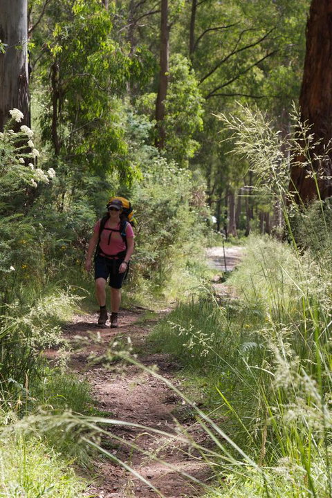 The Harrietville Snowline Hotel - St Kilda Accommodation 11
