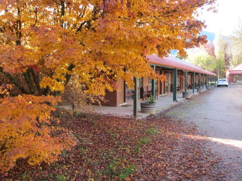 The Harrietville Snowline Hotel - St Kilda Accommodation 21