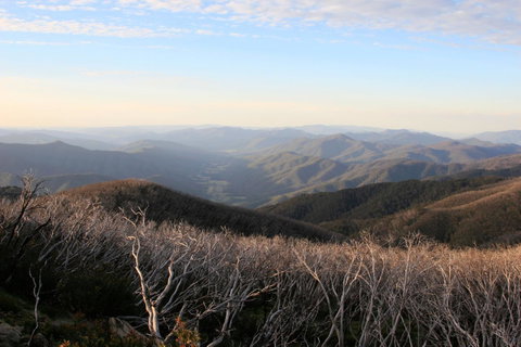 The Harrietville Snowline Hotel - St Kilda Accommodation 36