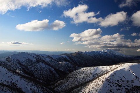 The Harrietville Snowline Hotel - St Kilda Accommodation 9