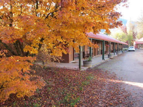 The Harrietville Snowline Hotel - St Kilda Accommodation 14