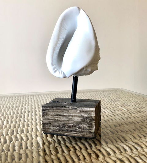 Sea Shells On Banyan Apartment - St Kilda Accommodation 9