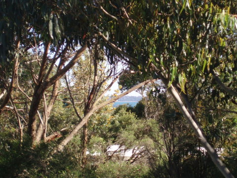 Aloha Ha Phillip Island - St Kilda Accommodation 24