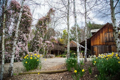 Lothlorien - St Kilda Accommodation 0