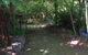 Lothlorien - thumb 14