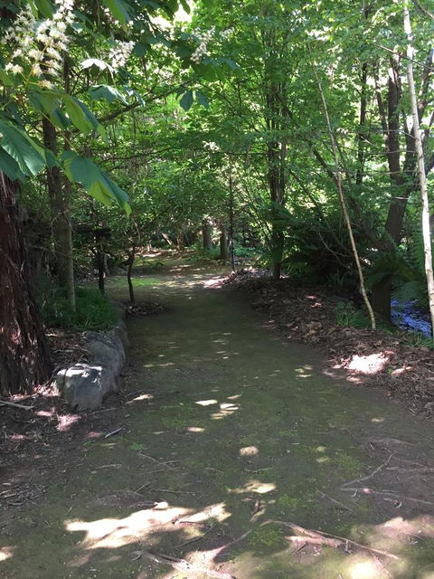 Lothlorien - St Kilda Accommodation 14