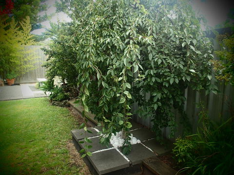 Azen Haven - St Kilda Accommodation 12