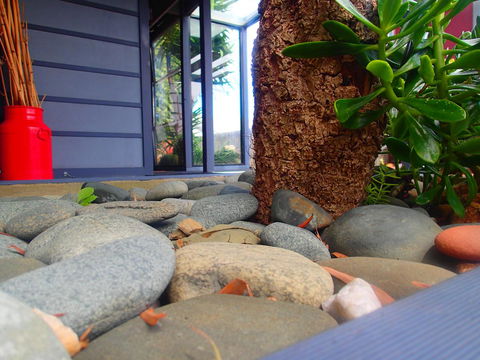 Azen Haven - St Kilda Accommodation 11