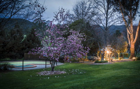 Bright Mystic Valley - St Kilda Accommodation 26