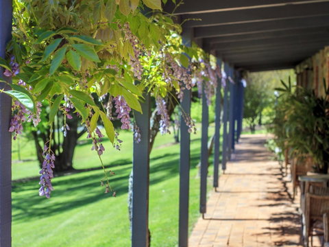 Bright Mystic Valley - St Kilda Accommodation 22