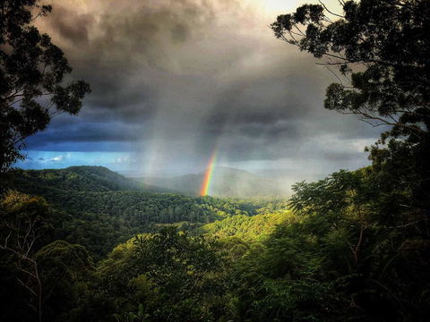 The Den Of The Treehouse, KINABALU Farm - St Kilda Accommodation 0